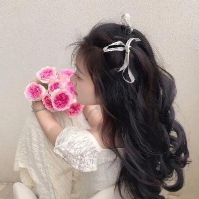 铁手人 封面